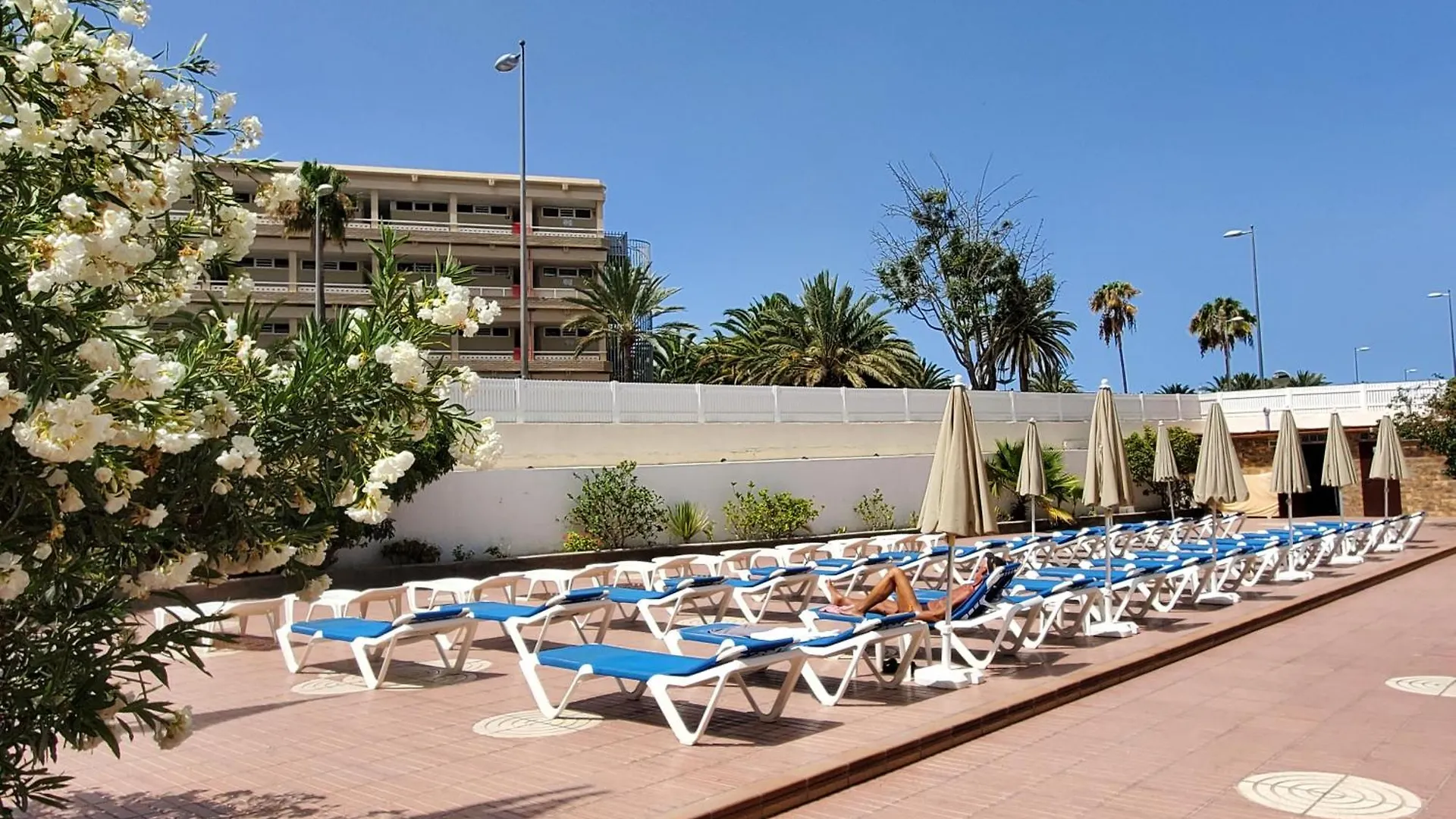 Las Camelias Apartments Playa del Inglés Aparthotel