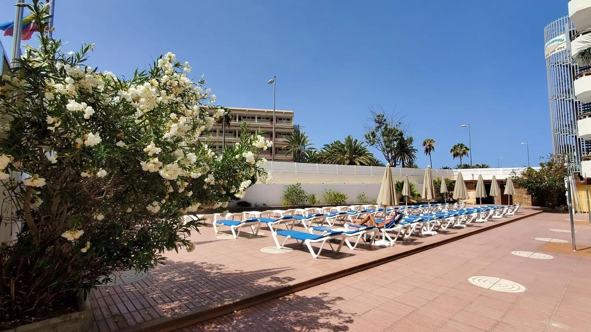 Aparthotel Las Camelias Apartments Playa del Inglés