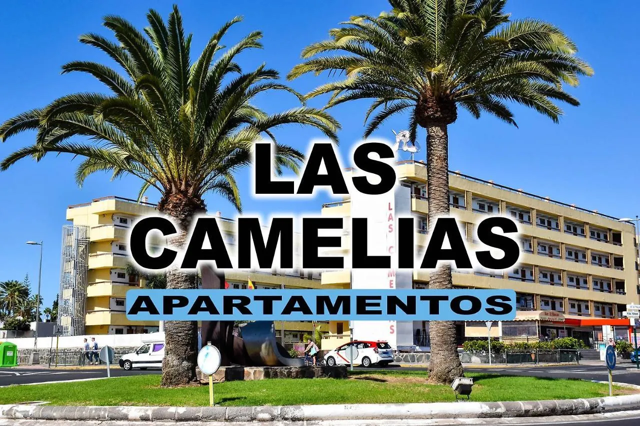 Las Camelias Apartments Playa del Ingles  0*, Playa del Ingles (Gran Canaria)