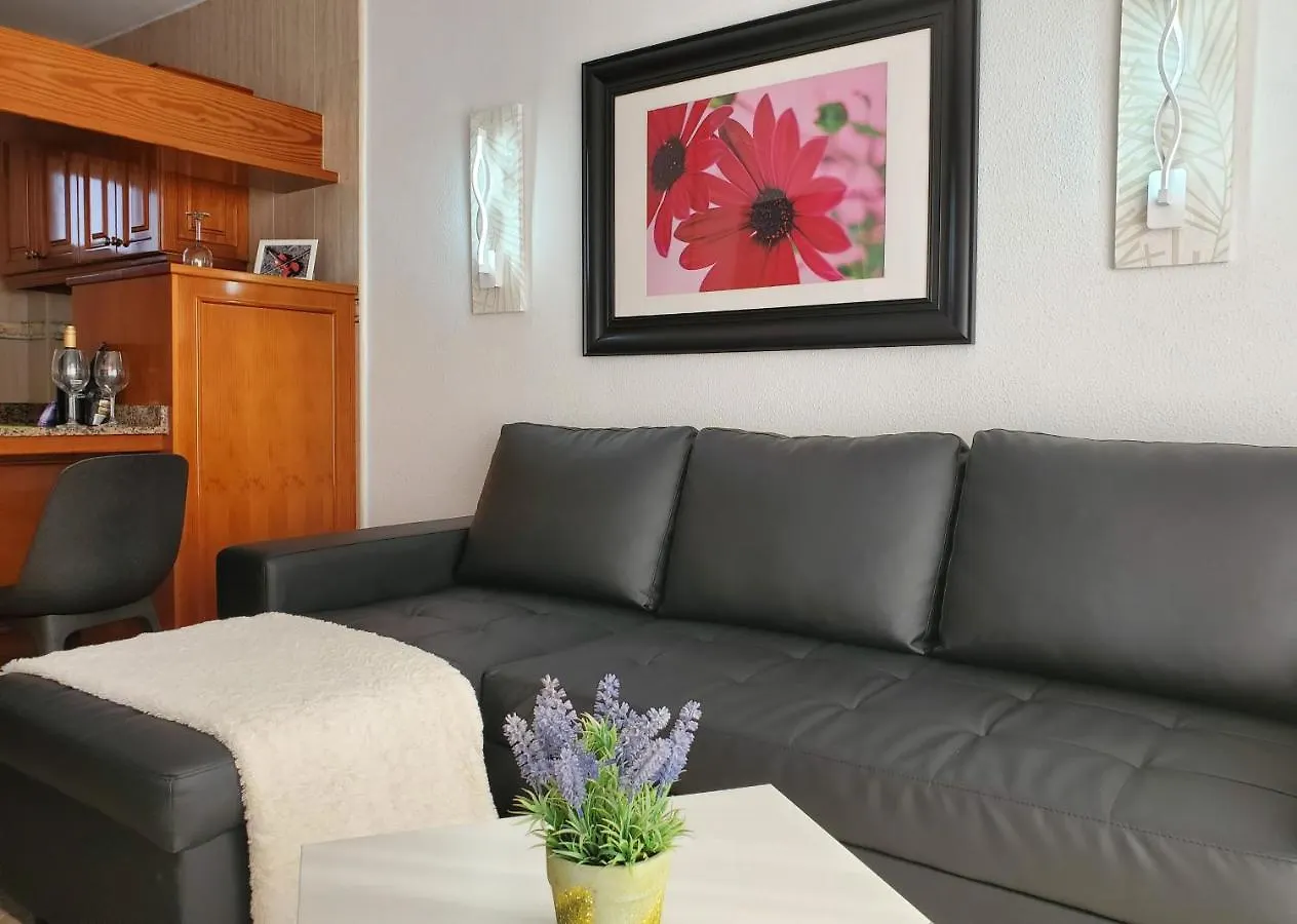 Las Camelias Apartments Playa del Ingles  0*, Playa del Ingles (Gran Canaria) Spain