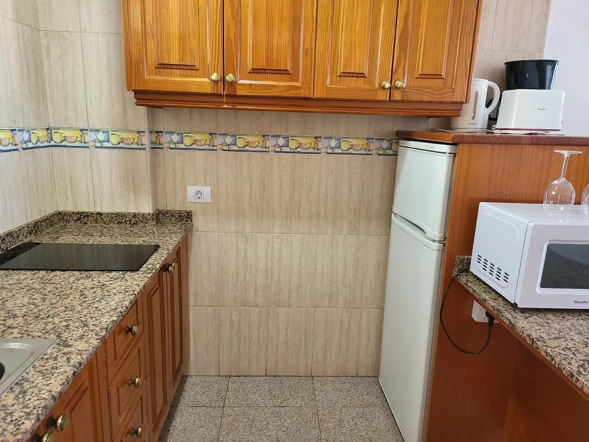 Aparthotel Las Camelias Apartments Playa del Ingles