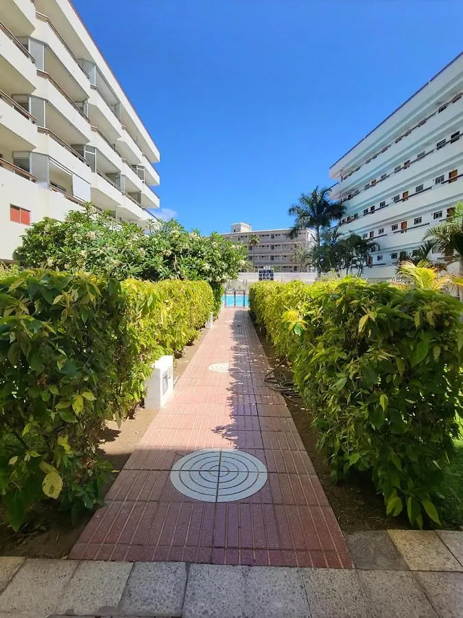 Las Camelias Apartments Playa del Ingles  Aparthotel Playa del Ingles (Gran Canaria)