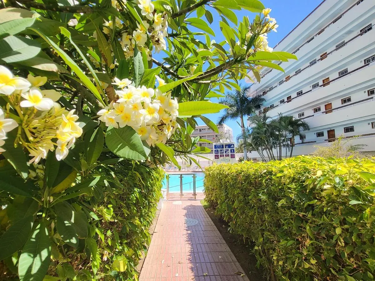 Las Camelias Apartments Playa del Ingles  0*, Playa del Ingles (Gran Canaria) Spain