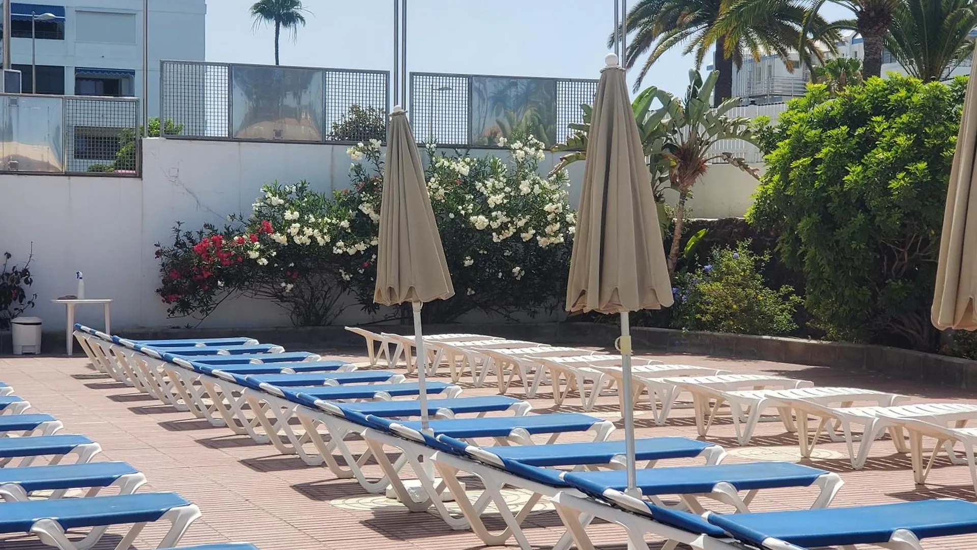 Las Camelias Apartments Playa del Ingles  Spain