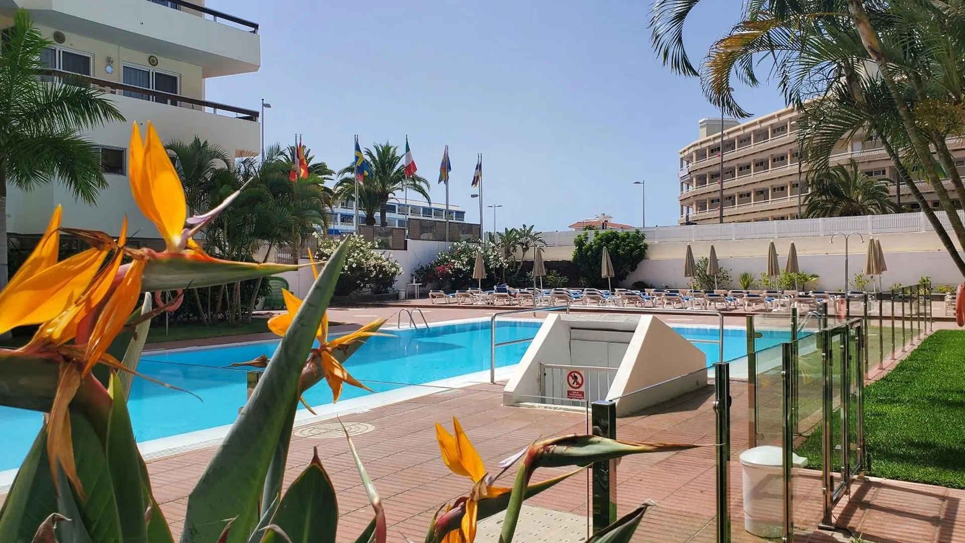 Las Camelias Apartments Playa del Ingles